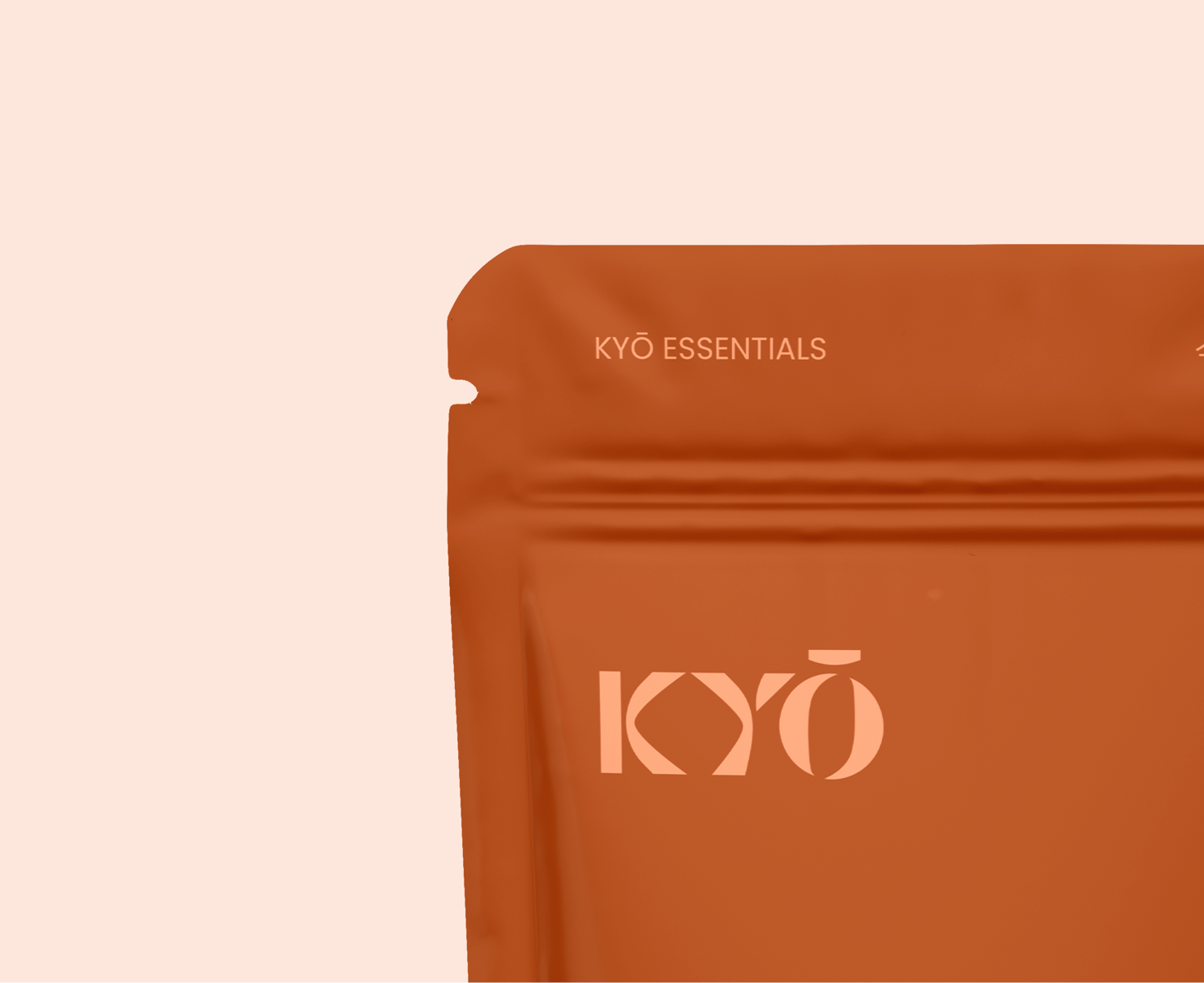 Vitamin C: immune support and stress resilience