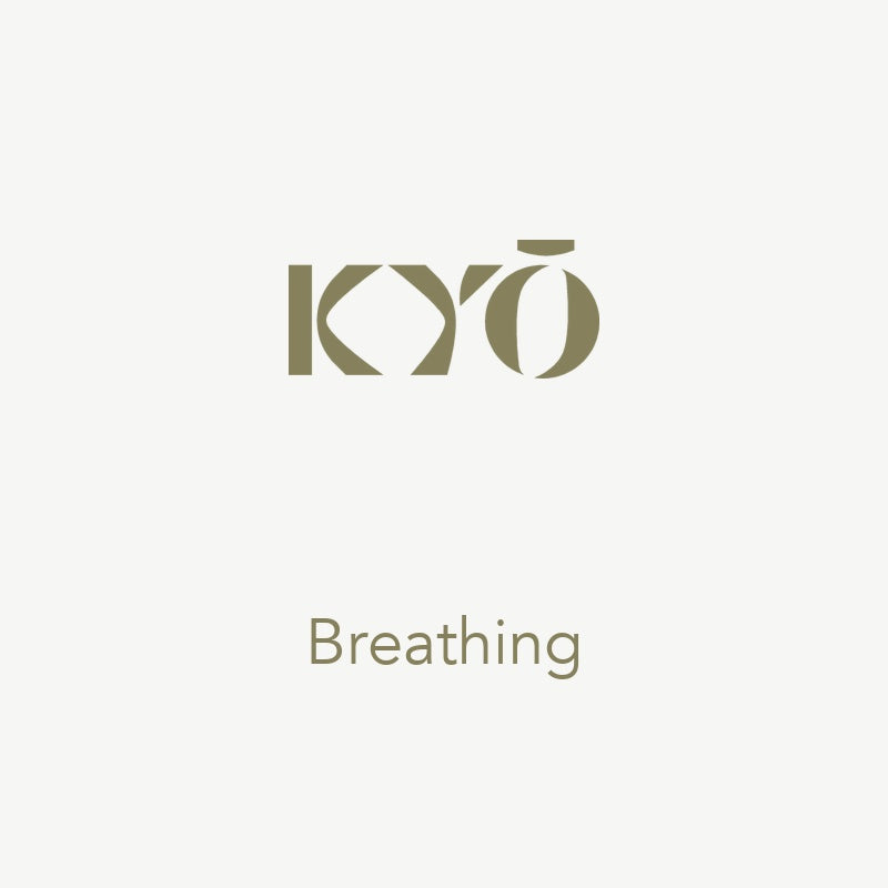 High-adrenaline come-down after big | Nervous System | KYŌ